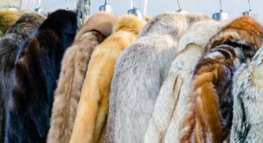 Prada renuncia ao uso de pele de animais