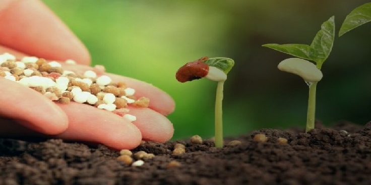 Crise dos fertilizantes: o fornecedor quebrou o contrato. E agora? 