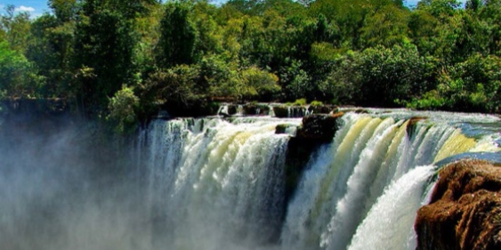 Sem recursos, parques naturais não têm estrutura básica para visitação 