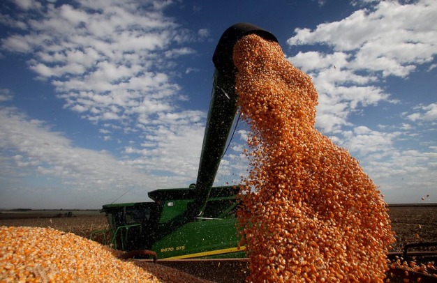 Agro paulista exportou US$ 25,7 bi até outubro, alta de 11,2% sobre 2023