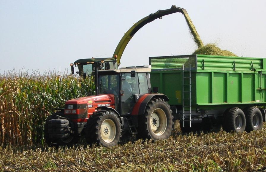 Brasil consolida liderança no agro mundial