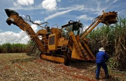 Produção de cana atinge recorde de 713,2 milhões de toneladas, diz Conab