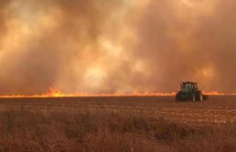Incêndios em SP devem afetar preços do açúcar e do etanol