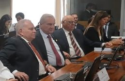 Presidente da ACSP participa de audiência pública em Brasília